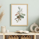 Search for mushroom posters Botanical