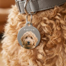 Search for reading pet supplies Dogs