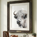 Search for white buffalo posters Bison