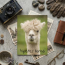 Search for hipsters postcards Animal