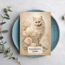 Search for fluffy white cards Kitten
