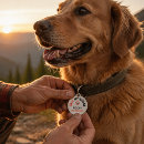 Search for leashed pet supplies Lost