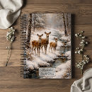 Search for streams Wildlife
