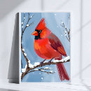Search for winter bird posters Watercolor