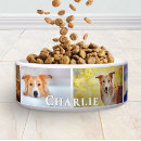 Search for create pet supplies Puppy