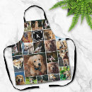 Search for paw aprons Photo collage