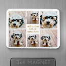 Search for cute magnets Trendy