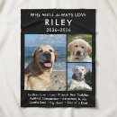 Search for rainbow bridge blankets Remembrance
