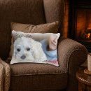 Search for cuddle cushions Simple