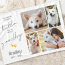 Search for pet memorial with photo blankets In loving memory
