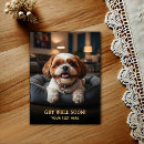 Search for hospital get well cards Dog