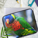 Search for avian electronics Colourful