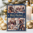 Search for 6 photo christmas cards Elegant