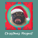 Search for dog magnets Merry christmas