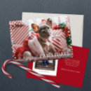 Search for happy pawlidays cards Snowflakes