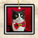 Search for tuxedo christmas tree decorations Cats