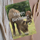 Search for funny donkey cards Cute
