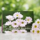 Search for daises cards Floral