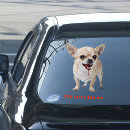 Search for funny office signs Car