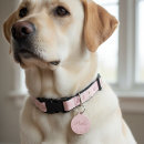 Search for text pet supplies Puppy