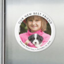 Search for puppy magnets Minimalist