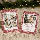Search for pine cone christmas cards Modern