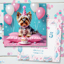 Search for yorkies invitations Girl