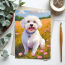 Search for fluffy white postcards Puppy