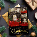 Search for meowy christmas cards Cute