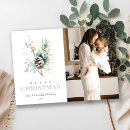 Search for pine cone christmas cards Watercolor