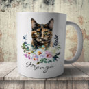 Search for tortoiseshell cats mugs Calico