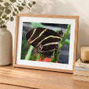 Search for bug pictures art Garden