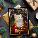 Search for meowy christmas cards Pet