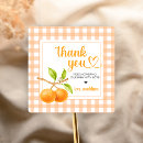 Search for orange gingham stickers Baby shower