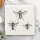 Search for queen coasters Bees