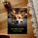 Search for hospital get well cards Dog