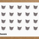 Search for feline stickers For pets