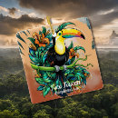 Search for toucan christmas tree decorations Animal