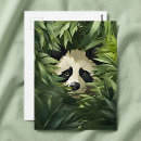 Search for panda postcards Modern