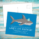 Search for cool shark Underwater