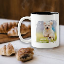 Search for bird family mugs Create your own