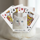 Search for eyes playing cards Kitten