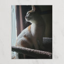 Search for cat tree postcards Kitty