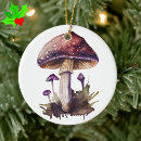 Search for mushrooms christmas tree decorations Cottagecore