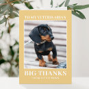 Search for veterinarian cards Veterinary appreciation