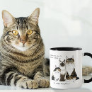 Search for funny maine mugs Maine coon cat