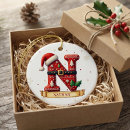 Search for letter n christmas tree decorations Xmas