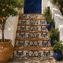 Search for tuscan tiles Italian