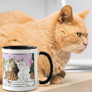 Search for cat trio mugs Cats