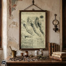 Search for arm muscle posters Muscles